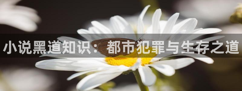 御书屋御宅屋自由的小说