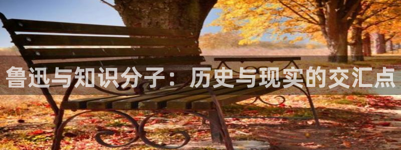 御书屋御宅屋海棠书屋：鲁迅与知识分子：历史与现实的交汇点