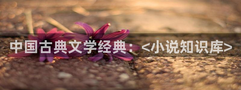 御书屋新：中国古典文学经典：<小说知识库>