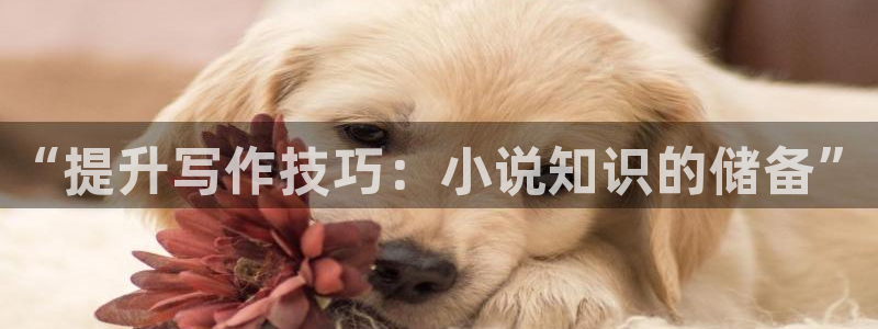 御宅屋御书屋备用：“提升写作技巧：小说知识的储备”